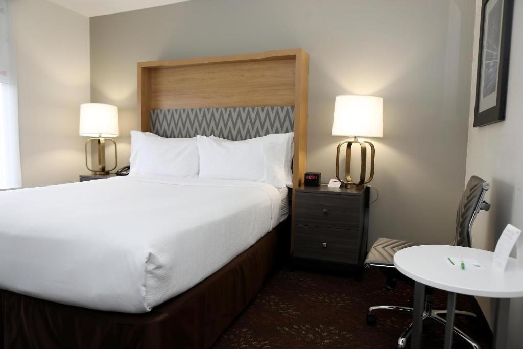 Holiday Inn O'Hare Area, An Ihg Hotel Розмонт Экстерьер фото